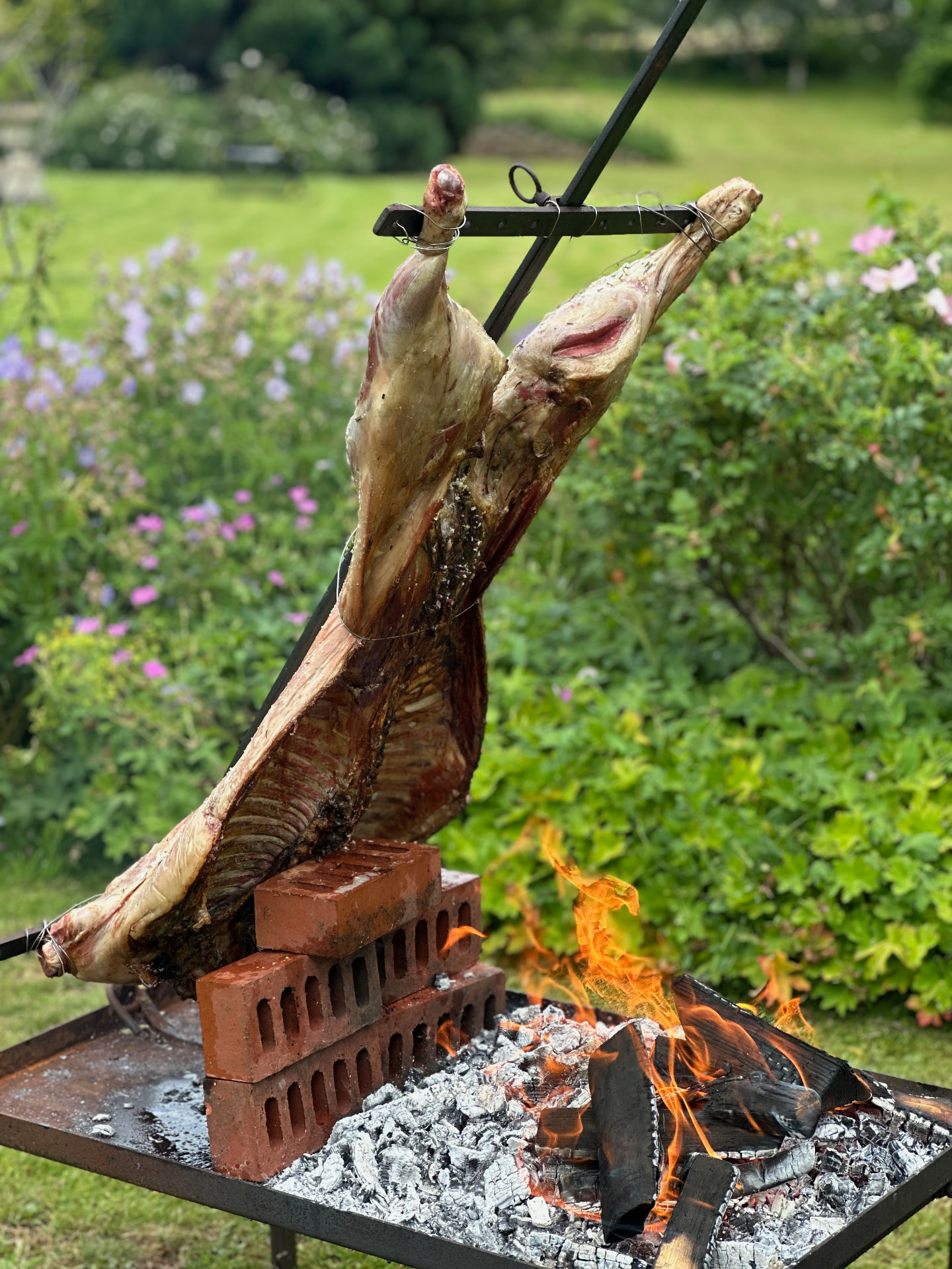A whole lamb turning over an open wood fire in a garden.