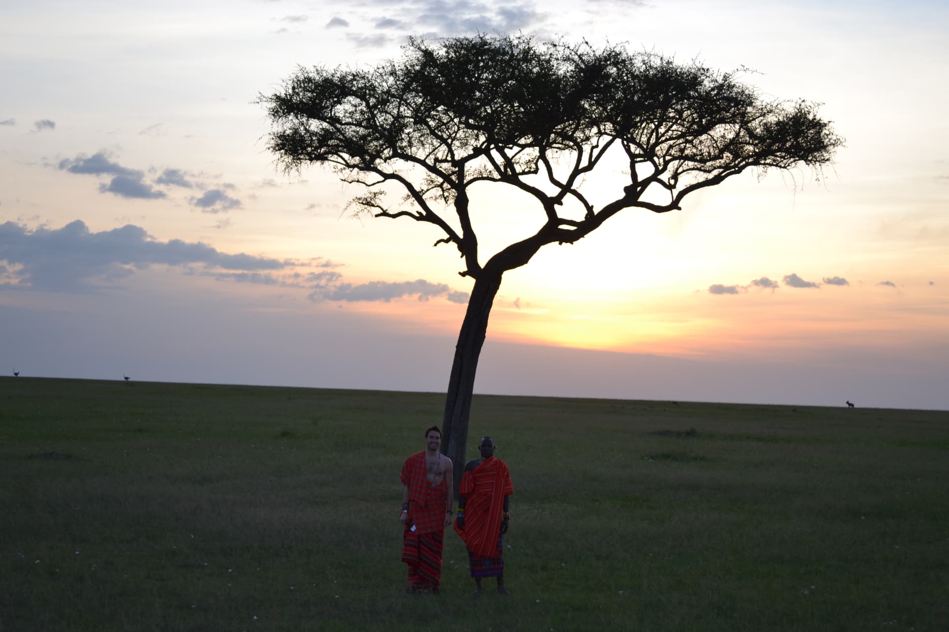 An acacia tree and two figures in red at sunset on the plains.