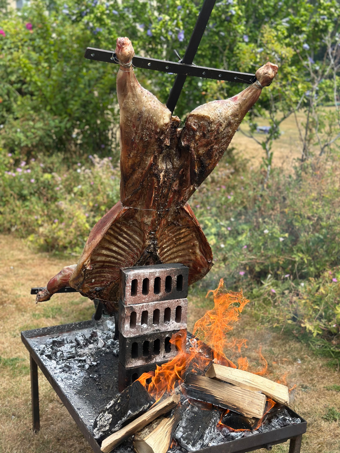 A whole lamb turning over an open fire at a live event.